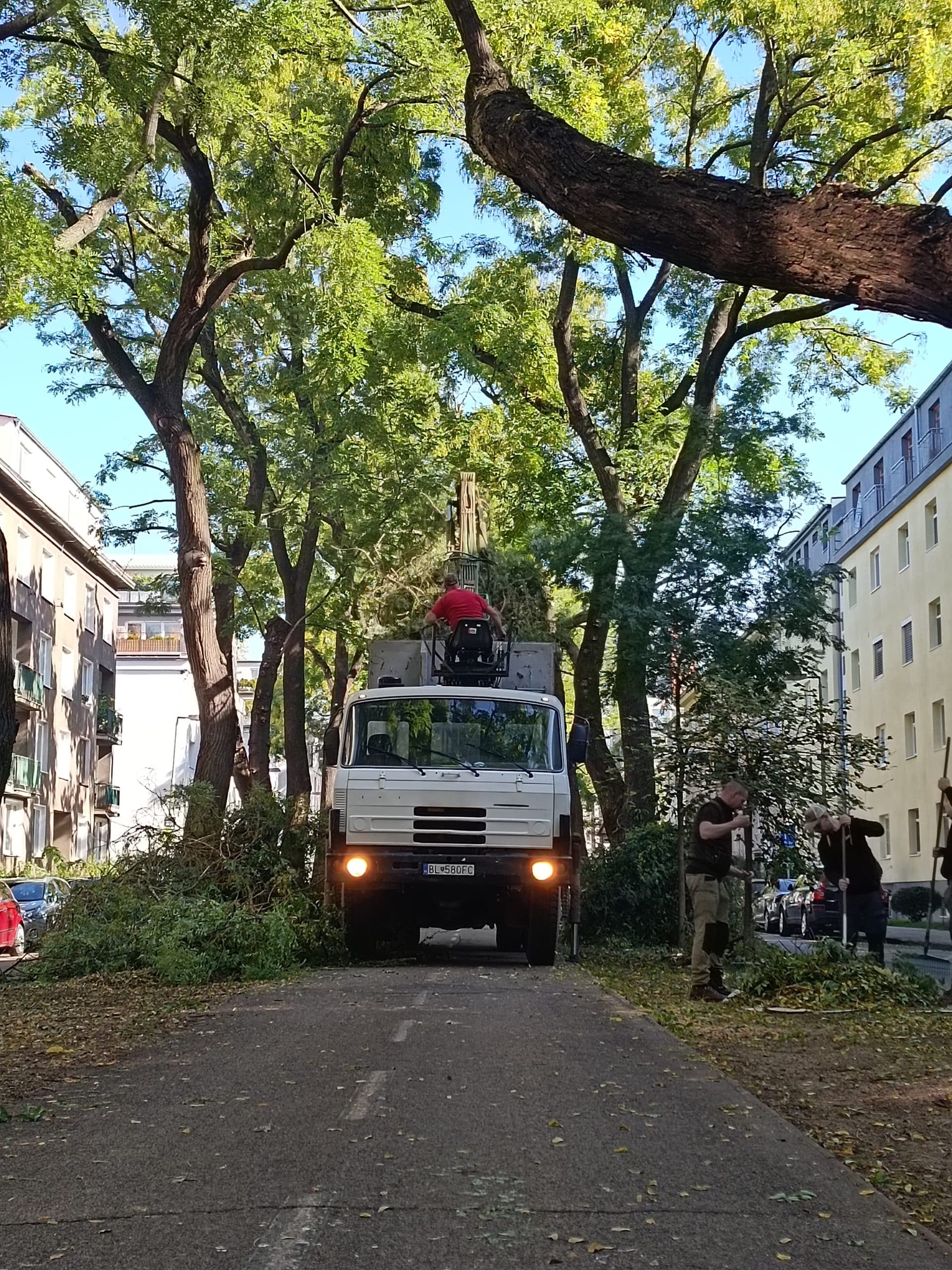 odvoz a likvidácia odpadu